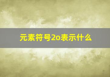 元素符号2o表示什么