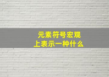 元素符号宏观上表示一种什么