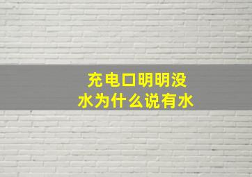 充电口明明没水为什么说有水