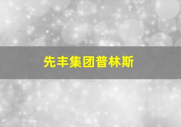 先丰集团普林斯