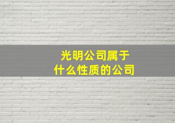 光明公司属于什么性质的公司