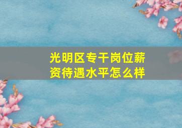 光明区专干岗位薪资待遇水平怎么样