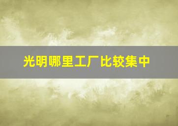 光明哪里工厂比较集中