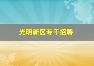 光明新区专干招聘