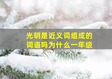 光明是近义词组成的词语吗为什么一年级