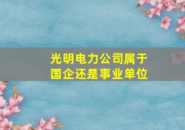 光明电力公司属于国企还是事业单位