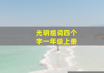 光明组词四个字一年级上册