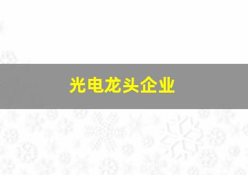 光电龙头企业