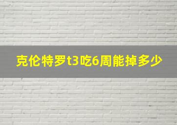 克伦特罗t3吃6周能掉多少