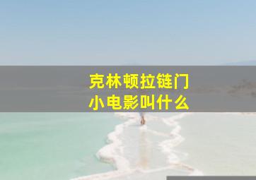 克林顿拉链门小电影叫什么