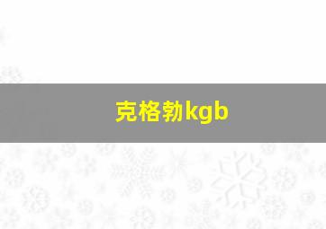 克格勃kgb