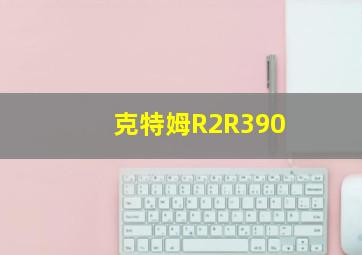 克特姆R2R390