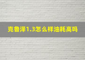 克鲁泽1.3怎么样油耗高吗