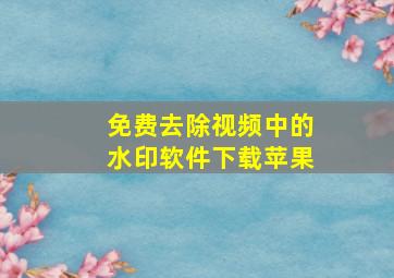 免费去除视频中的水印软件下载苹果