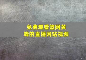 免费观看篮网黄蜂的直播网站视频