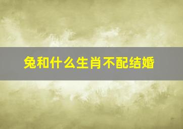 兔和什么生肖不配结婚