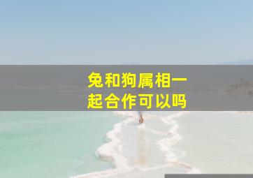 兔和狗属相一起合作可以吗