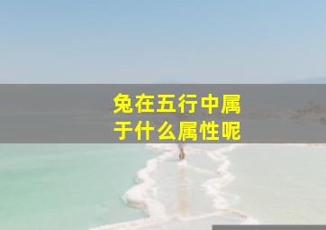 兔在五行中属于什么属性呢