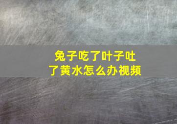 兔子吃了叶子吐了黄水怎么办视频