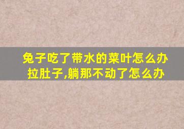 兔子吃了带水的菜叶怎么办拉肚子,躺那不动了怎么办