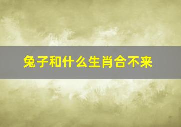 兔子和什么生肖合不来