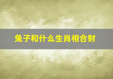 兔子和什么生肖相合财