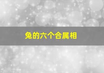 兔的六个合属相