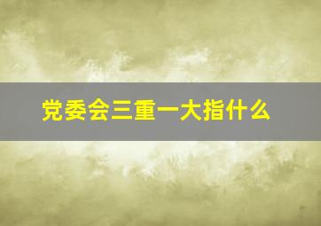 党委会三重一大指什么