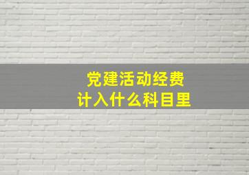 党建活动经费计入什么科目里