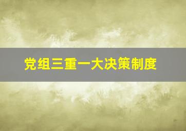 党组三重一大决策制度