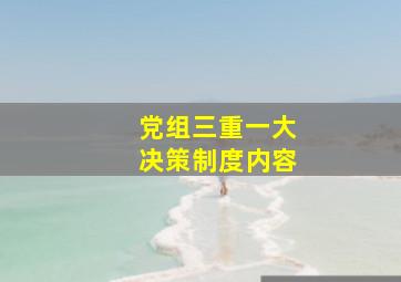 党组三重一大决策制度内容