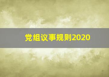 党组议事规则2020