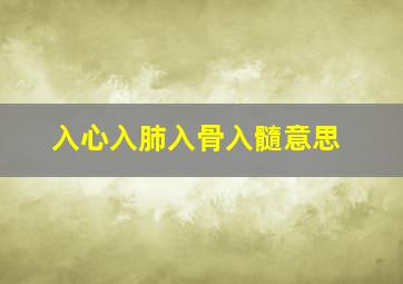 入心入肺入骨入髓意思