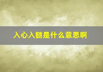 入心入髓是什么意思啊