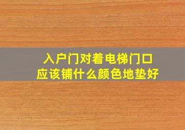 入户门对着电梯门口应该铺什么颜色地垫好