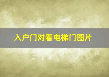 入户门对着电梯门图片