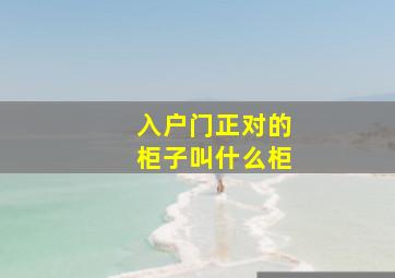 入户门正对的柜子叫什么柜