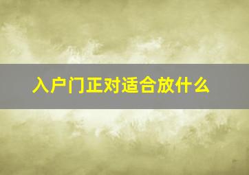 入户门正对适合放什么