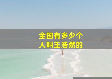 全国有多少个人叫王浩然的