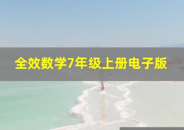 全效数学7年级上册电子版