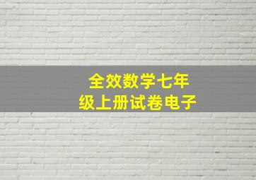 全效数学七年级上册试卷电子