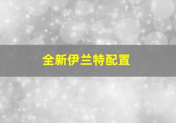 全新伊兰特配置