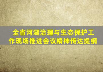 全省河湖治理与生态保护工作现场推进会议精神传达提纲