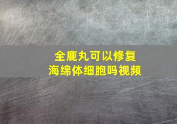 全鹿丸可以修复海绵体细胞吗视频