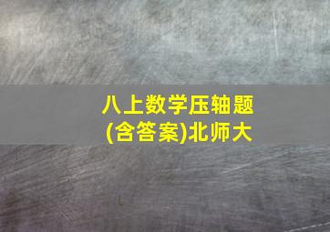 八上数学压轴题(含答案)北师大