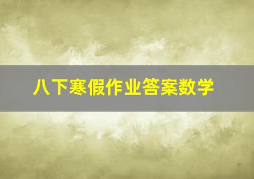 八下寒假作业答案数学