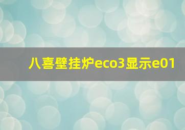 八喜壁挂炉eco3显示e01