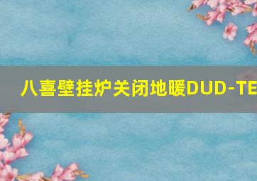 八喜壁挂炉关闭地暖DUD-TEC