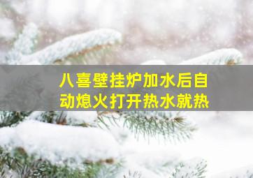 八喜壁挂炉加水后自动熄火打开热水就热