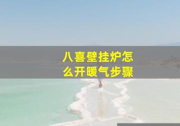 八喜壁挂炉怎么开暖气步骤